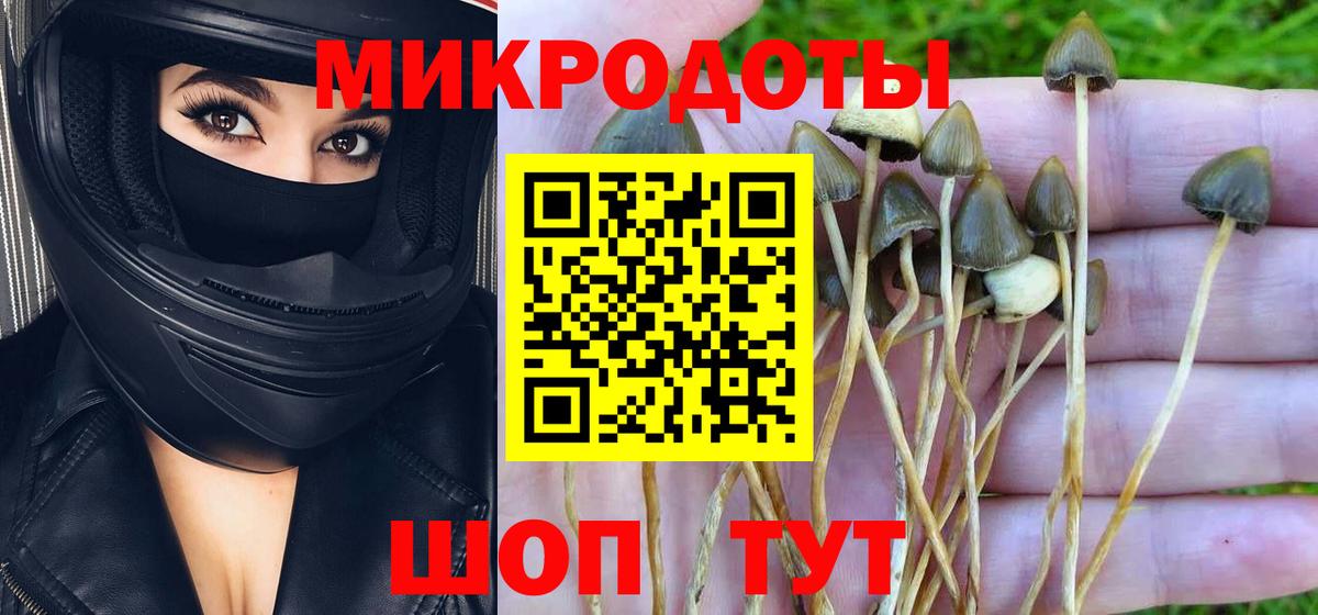 закладки  Вход с VPN  Котовск  Псилоцибиновые грибы Magic Shrooms 