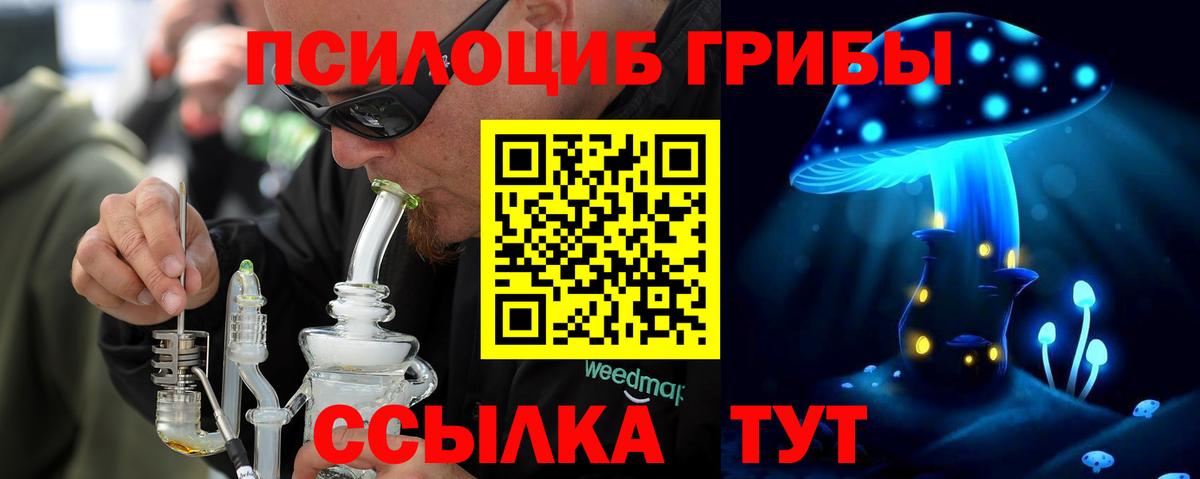 Псилоцибиновые грибы Cubensis Котовск